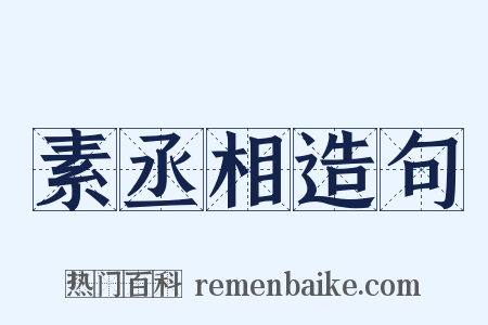 素丞相造句是什么意思的图片